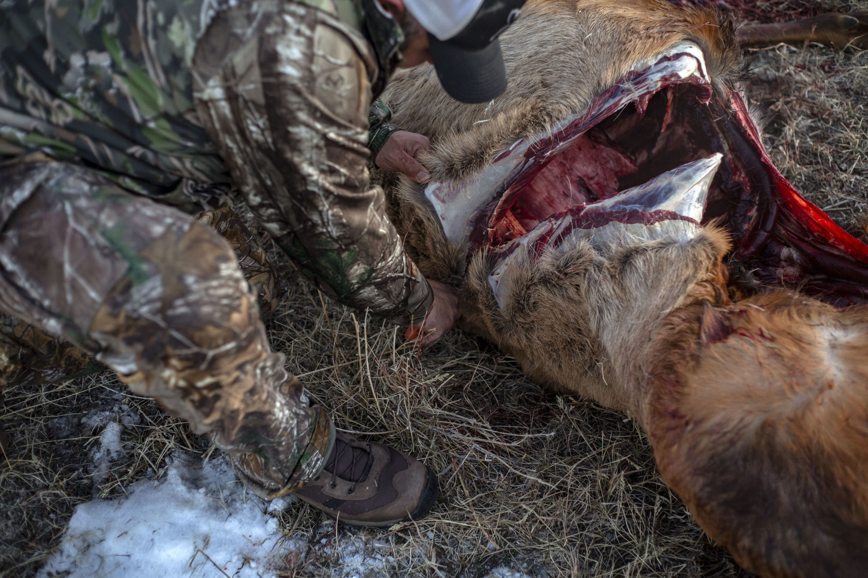 Youth Elk Hunt